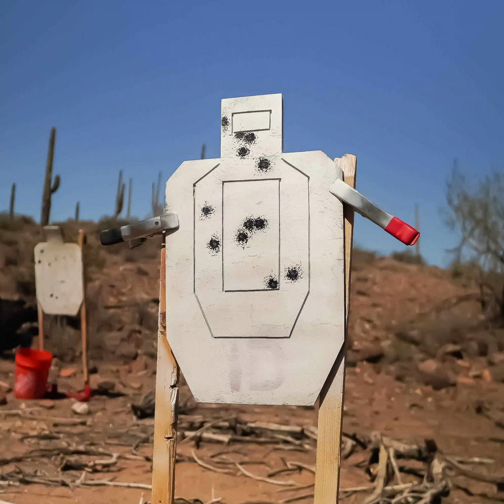 2/3 IPSC Infinity Target