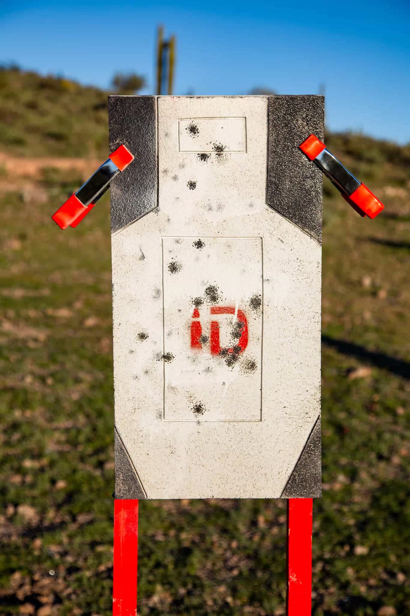 outdoor target on stand wood sticks ID targets