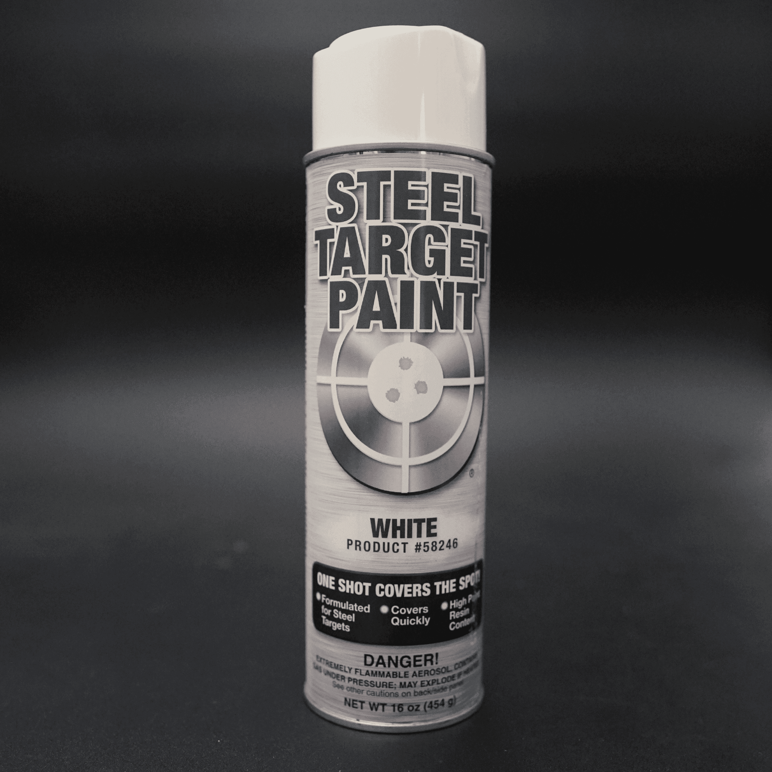 Rubber/Steel Target Paint - Single